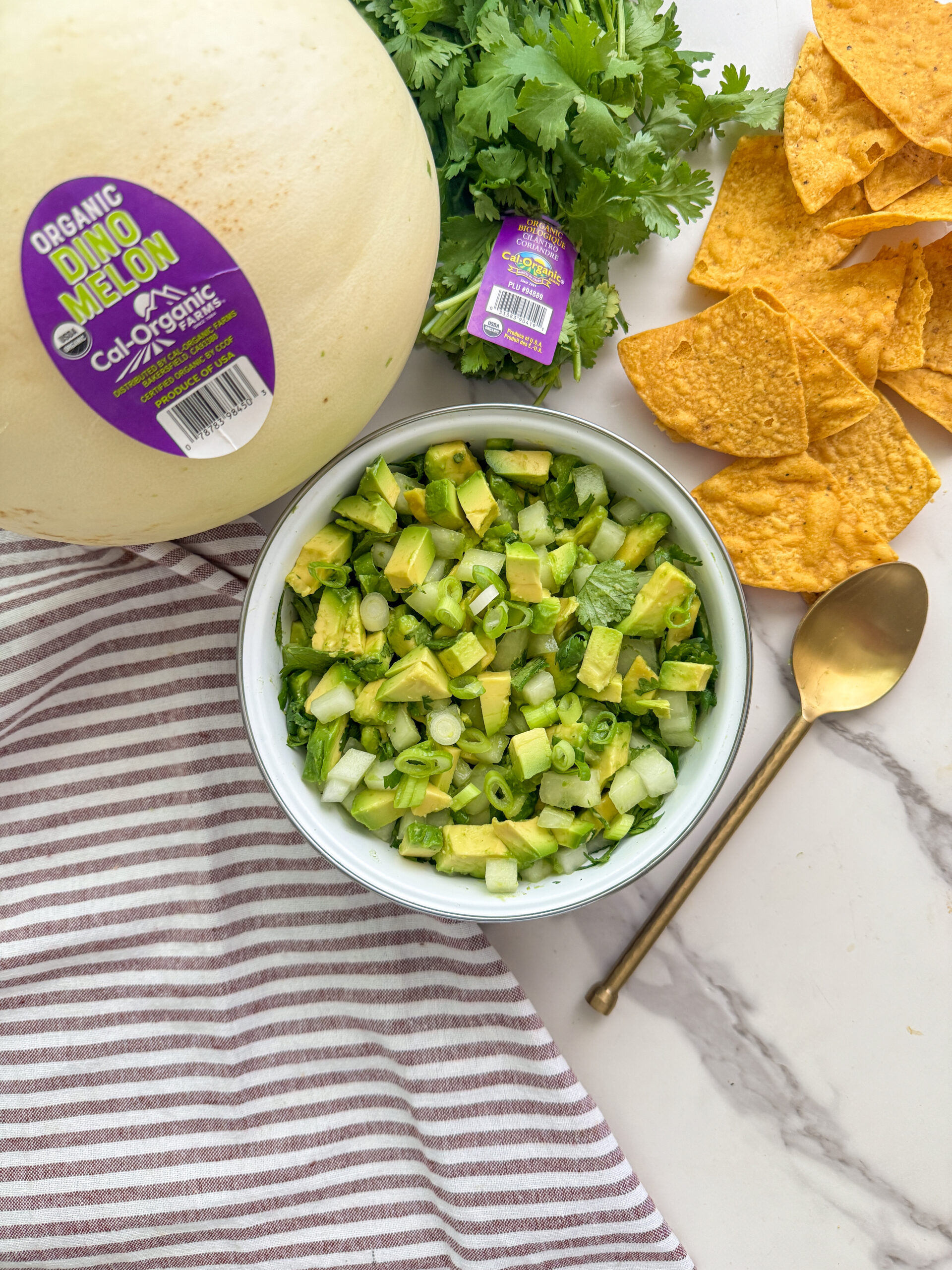 Dino Melon Summer Salsa | Cal-Organic Farms