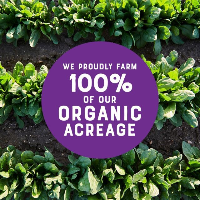 https://calorganicfarms.com/wp-content/uploads/sb-instagram-feed-images/376198034_770718858159660_6877770784033286376_nfull.jpg